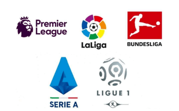 较为稳健的 较为稳健的